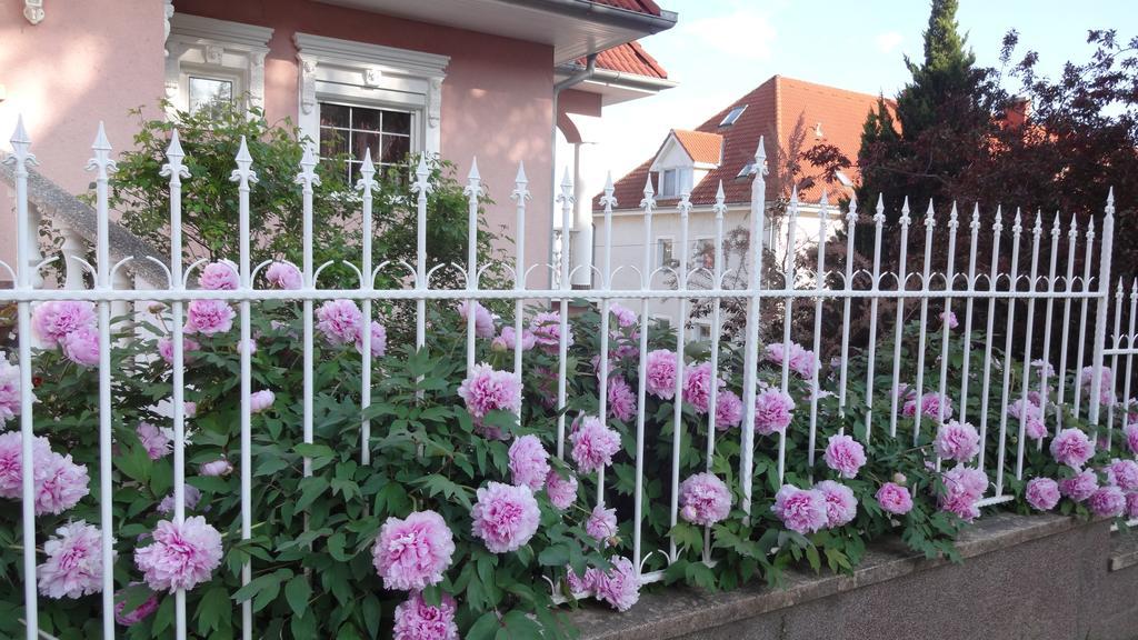 Valloris Apartments Хевиз Экстерьер фото